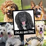 BUGALUGS Baby Fresh Dog Shampoo 5 Litre Vegan Puppy Puppy Shampoo view 6