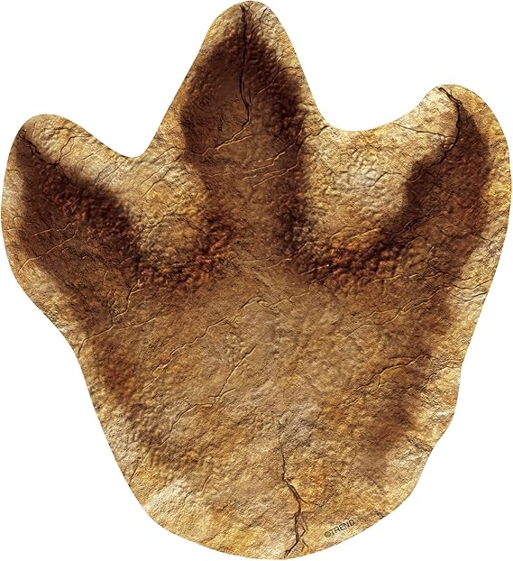 Amazon.com: TREND enterprises, Inc. Discovering Dinosaurs Tracks