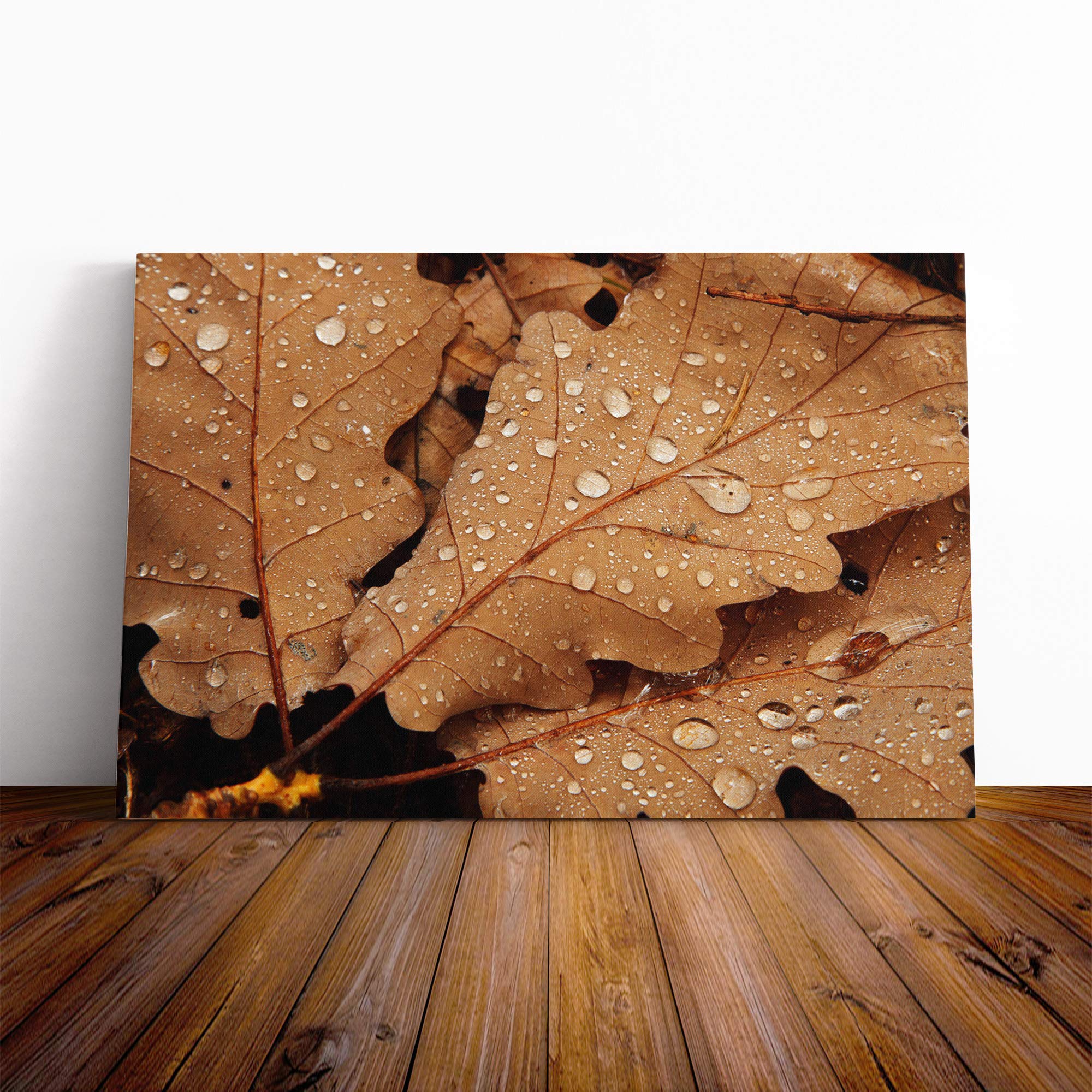 Autumn Leaves (3) Canvas Print | Gallery Wrapped 30mm Frame Wall Art | 20x14 inches | Ready to Hang | Modern Floral Picture | Living Room Bedroom Lounge Office
