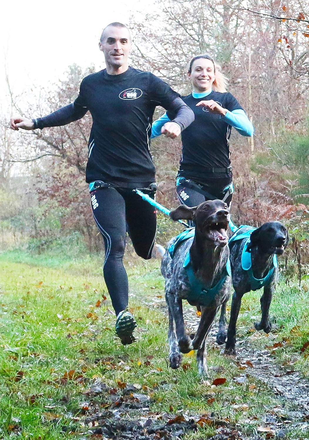 I-dog phoenix harness (XS), Turquoise - Image 4