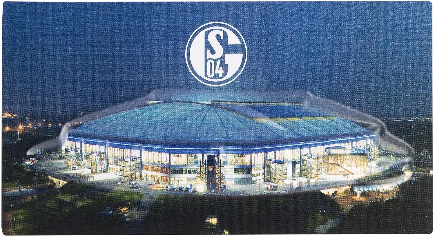 FC Schalke 04 Magnet VELTINS-Arena: Amazon.de: Sport & Freizeit