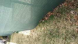 Review Image by susan