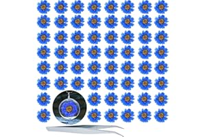 HEISENLIN Dried Pressed Flower, 60PCS Blue Natural Real Pressed Dried Daisy Flowers, Dry Flowers with Forceps for Resin Jewelry Soap Scrapbooking DIY Candle Decoration Nail Pendant Crafts Making
