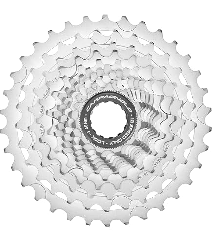 パーツ CAMPAGNOLO 11s RECORD SPROCKETS 12-29 パーツ CAMPAGNOLO 11s RECORD SPROCKETS 12-29 CAMPAGNOLO 11s