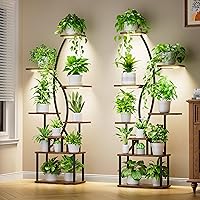Plant Stand Indoor with Grow Lights - 8 Tiered Tall Plant Shelf, 65" Metal Corner Shelf for Indoor Plants Multiple, Large Cur