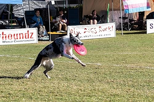 West Paw Chuck It Frisbee For Dogs Pet Supplies Pet Flying Discs