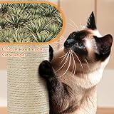 Yaheetech Cat Tree 106cm Multilevel Tower with Double Condo Scratching Post view 9