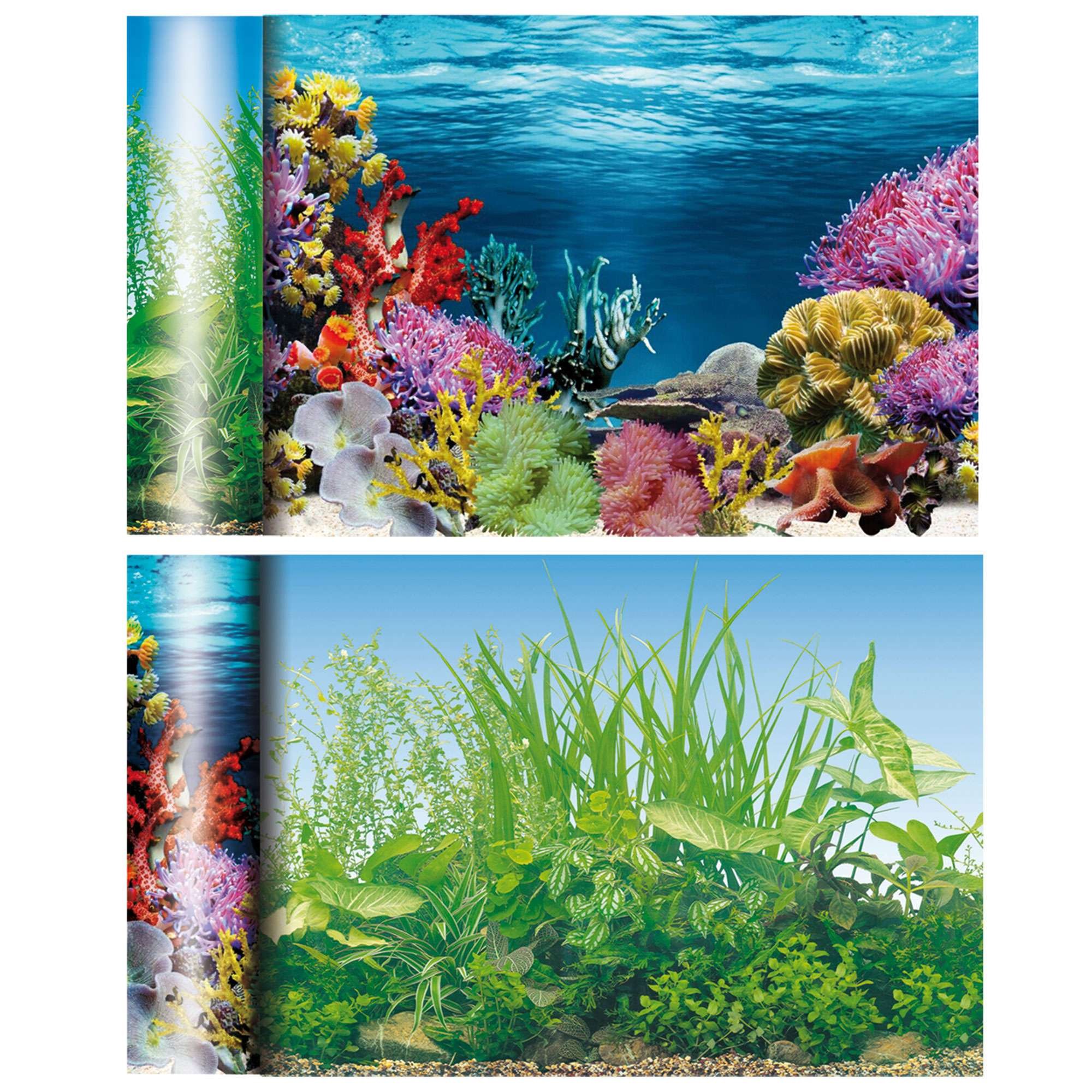 GEORPLAST FN2150 Double Sided Caribbean and Pond Background