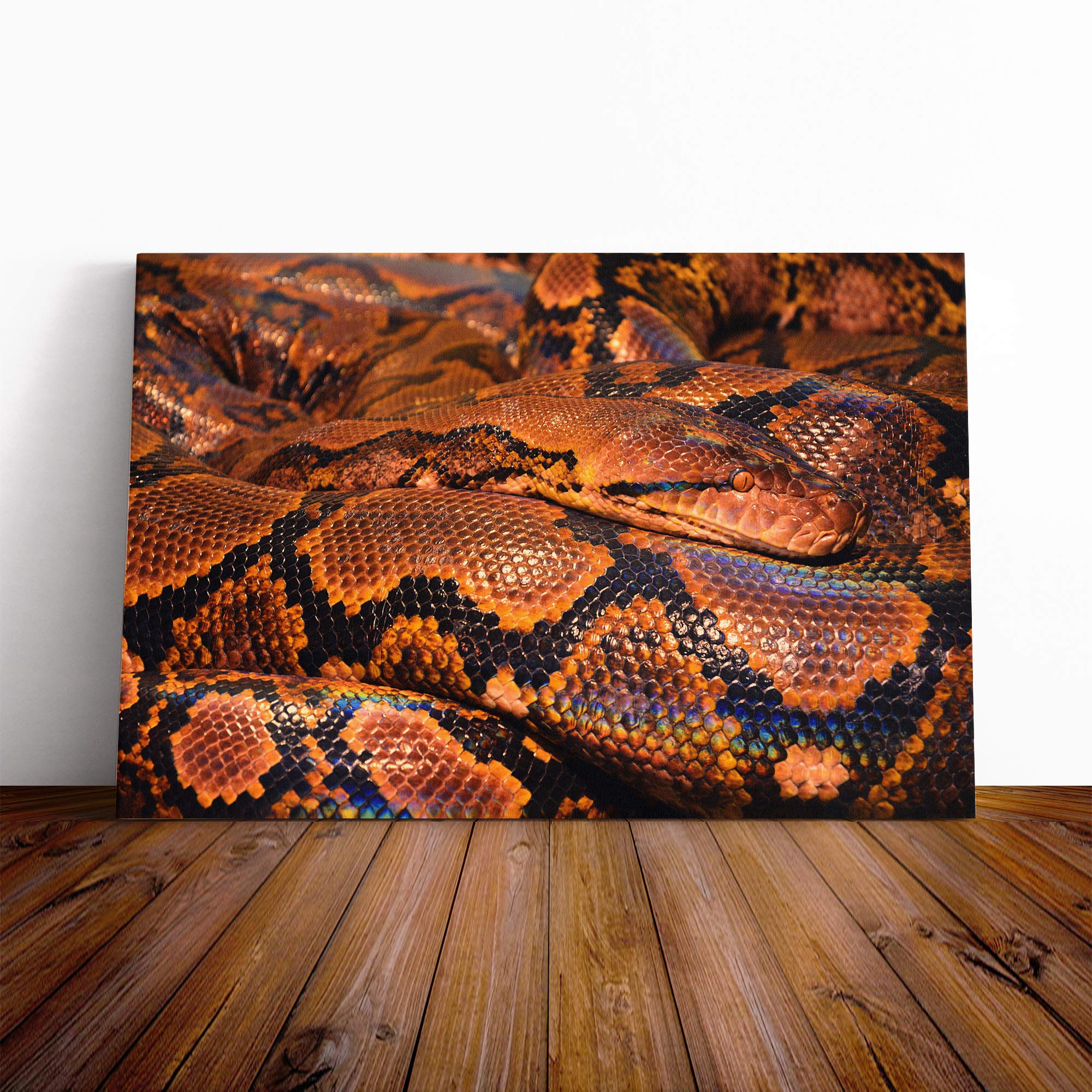 Snake Skin Canvas Print | Gallery Wrapped 30mm Frame Wall Art | 20x14 inches | Ready to Hang | Modern Animals Picture | Living Room Bedroom Lounge Office