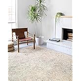 Loloi II Ziva Collection ZV-02 Multi 3'-6" x 5'-6" Accent Rug