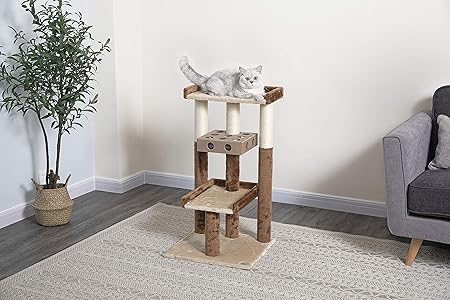 iq box cat tree