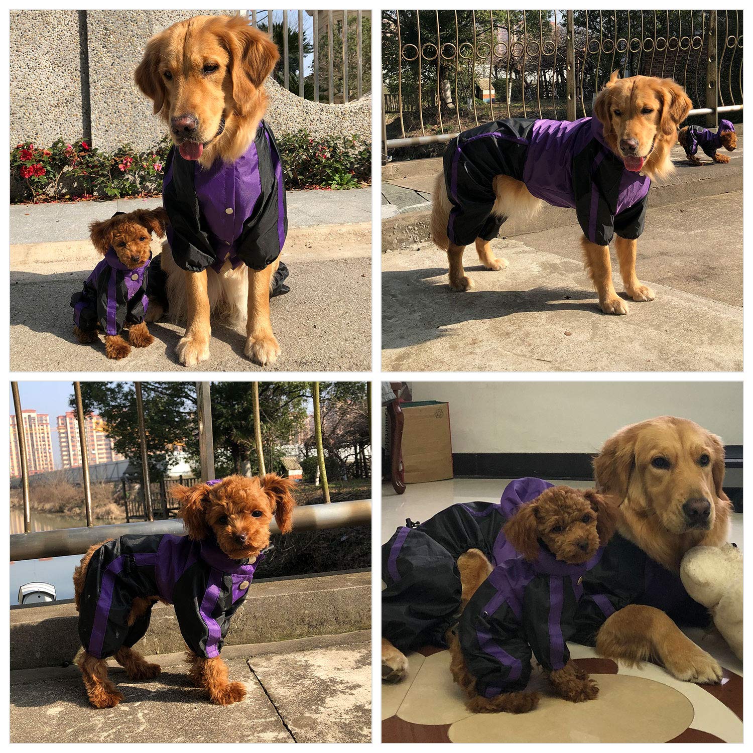 Raincoats Pet Supplies Lovelonglong American Bully Pitbull Dog Hooded