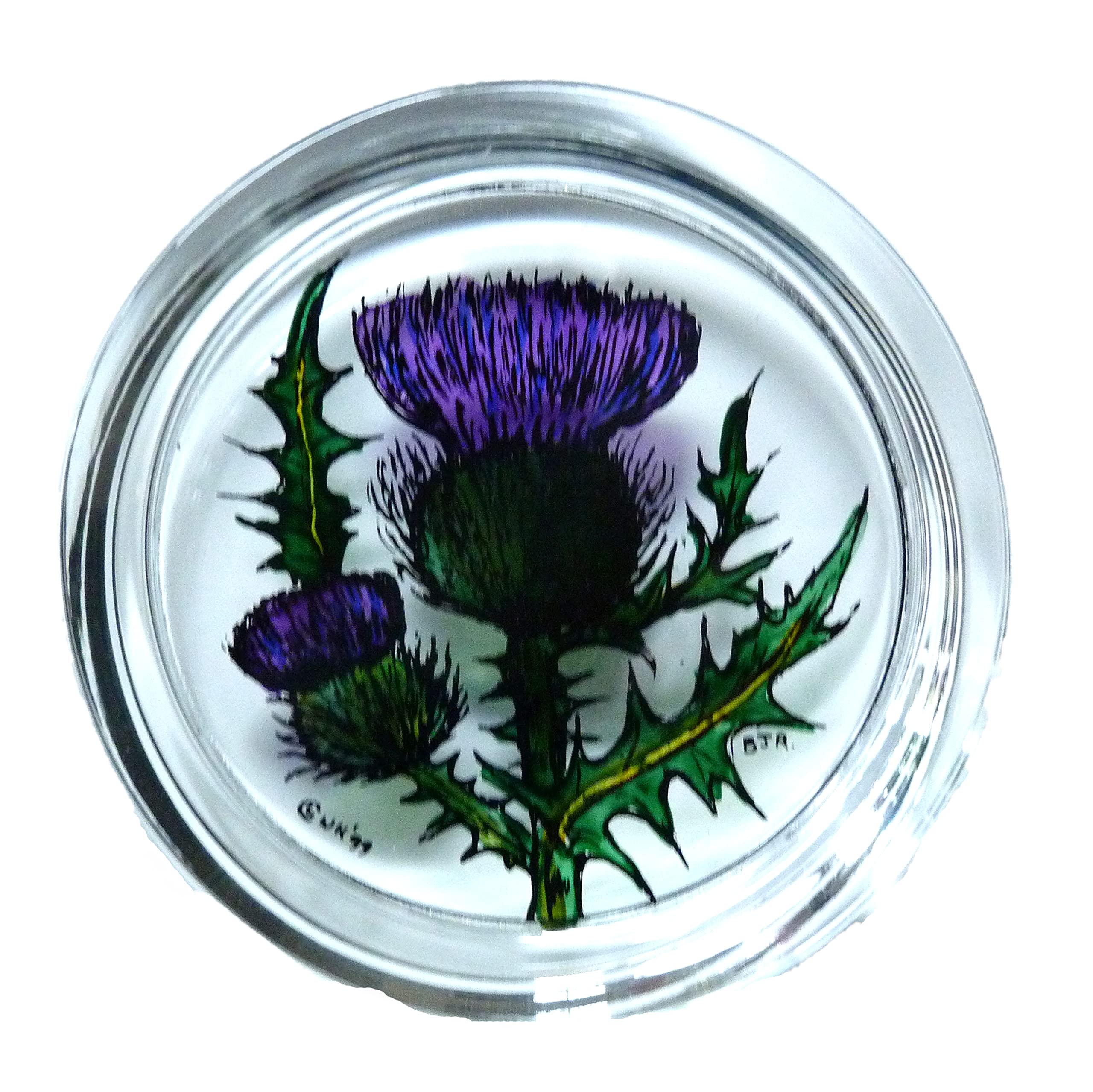 HENSITA Decorative Hand Printed Stained Glass Paperweight in a Scottish Thistle Design.