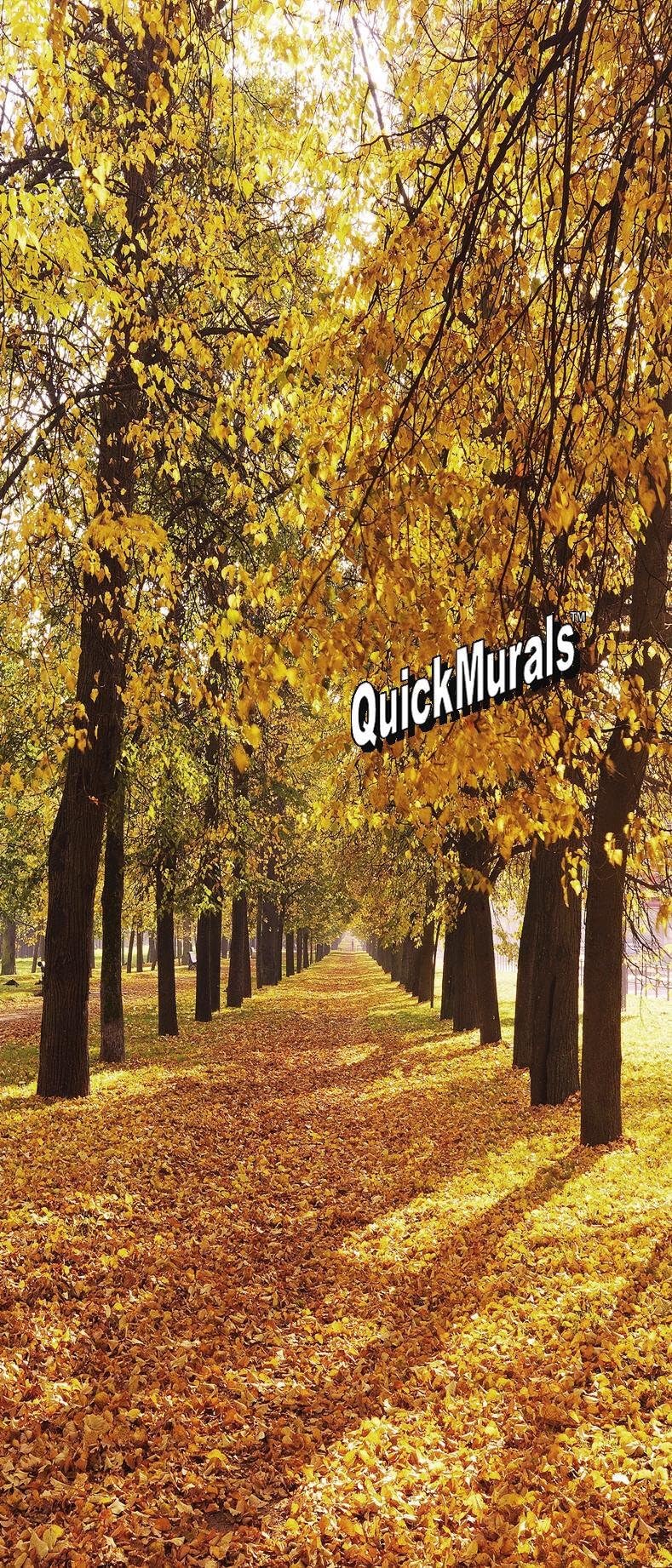Peel and Stick 36inch W x 84inch H 3D Instant Door/Wall Mural Printed ON SELF Adhesive Canvas! Removeable & Re-usable! (Wooded Path Door Mural)