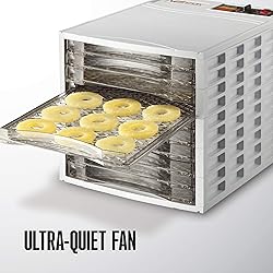 Weston Food Dehydrator Machine for Beef