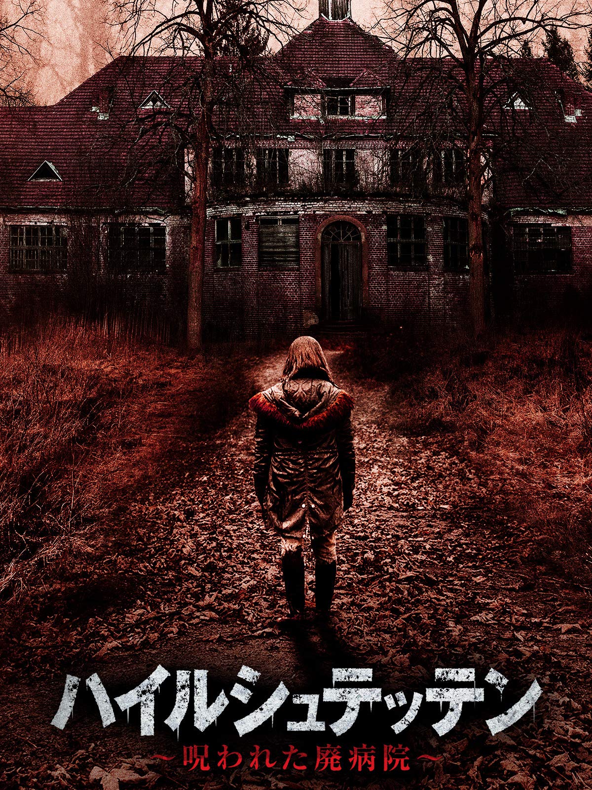 Amazon Co Jp ハイルシュテッテン 呪われた廃病院 字幕版 を観る Prime Video