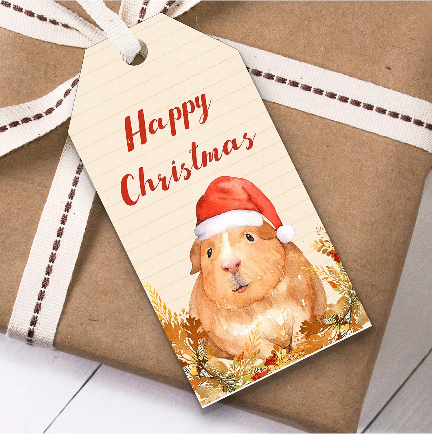 Vintage Guinea Pig Christmas Gift Tags Amazon.co.uk Office Products