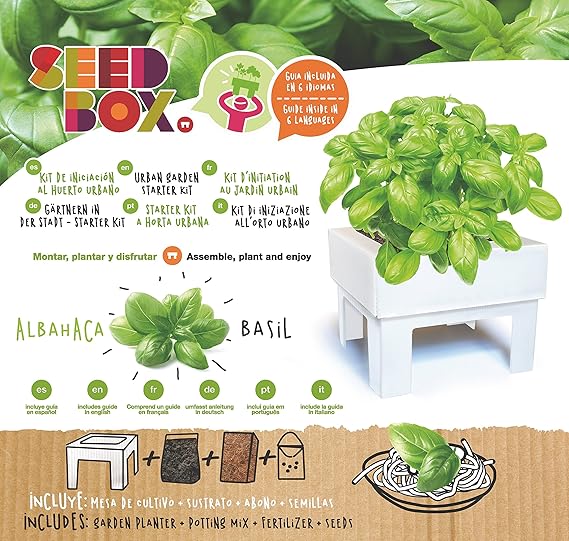 SeedBox SBCUAL - Huerto Urbano de albahaca: Amazon.es: Jardín