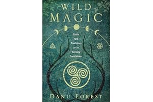 Wild Magic: Celtic Folk Traditions for the Solitary Practitioner