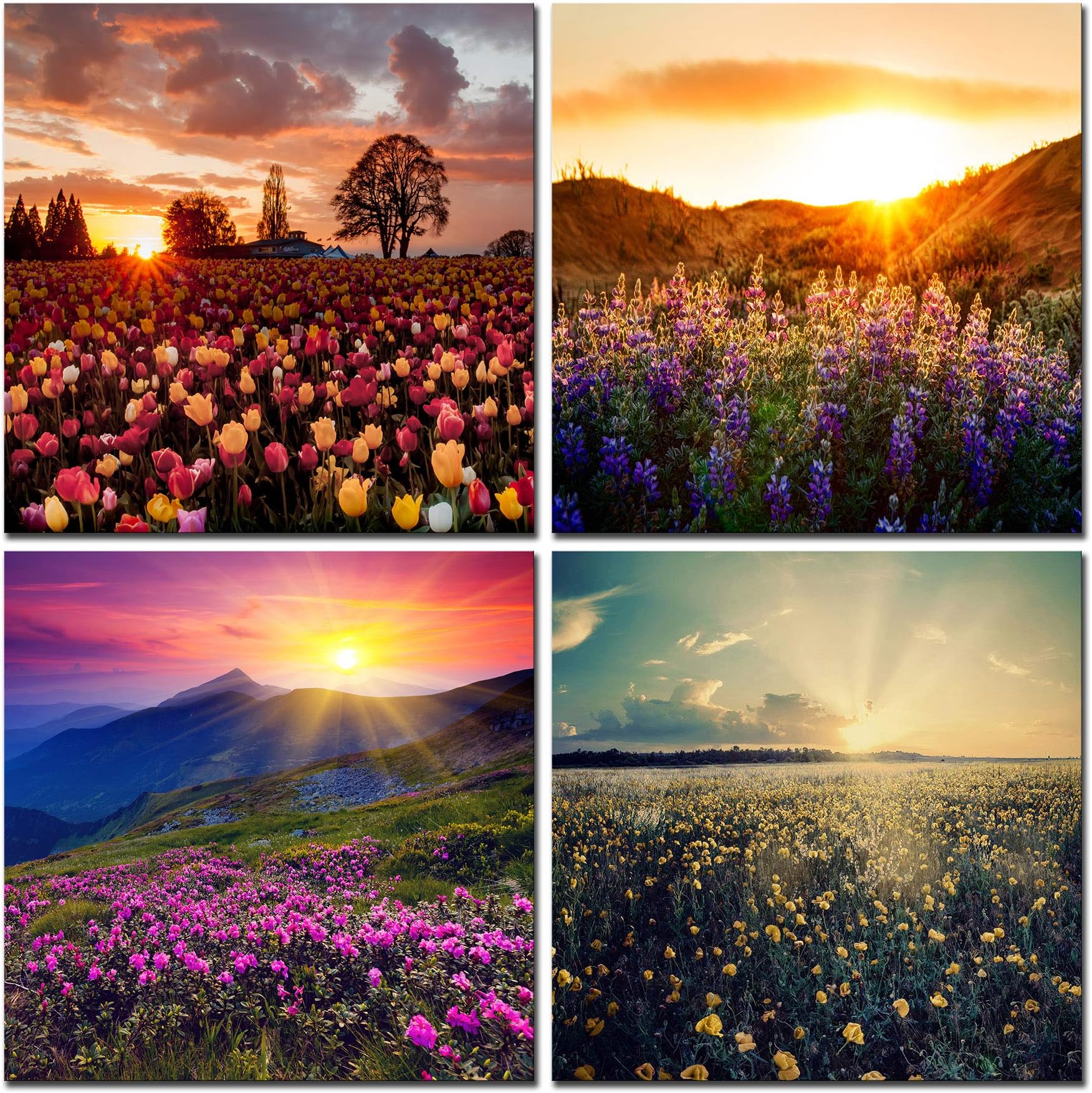 CUFUN Art - Colorful Flowers Lavender Under the Sunrise Prints on Canvas Wall Decor Wooden Framed (30 x 30cm x 4pcs)