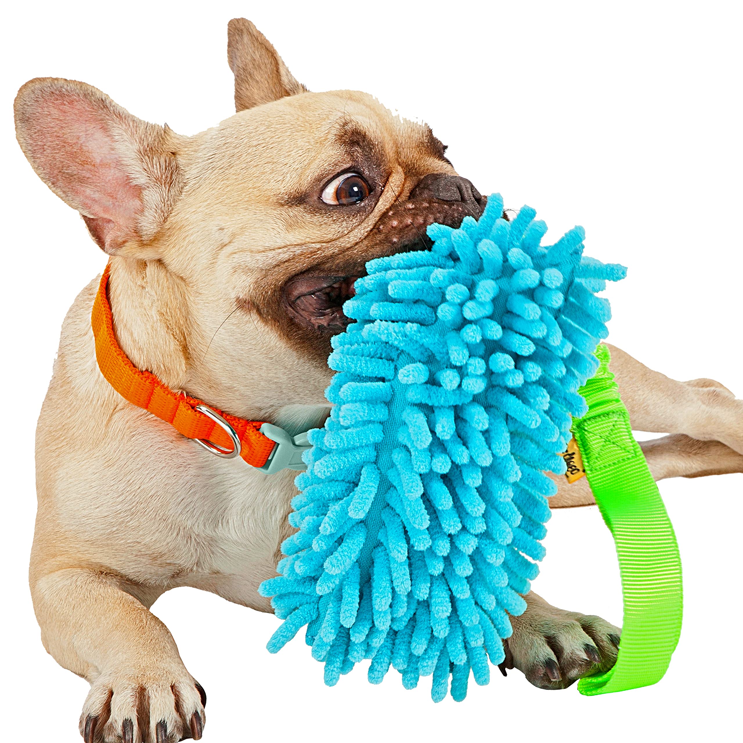 DINGO Bungee Dog Toy Mop Chaser Bite Toy for Fun Agility Dog Training Blue 15656