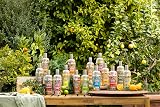 Coppa Cocktails Ready-to-Drink Piña Colada 10% ABV 70cl - Easy Mix view 3