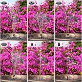 AISITIN 3.5W Solar Fountain Pump for Bird Bath 10 Nozzles 4 Rods Garden view 8