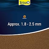 Tetra Goldfish Fish Food Granules Complete Food for Small Goldfish 80 g view 6