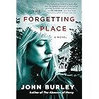 The Forgetting Place: A Novel