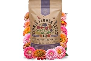 ORGANO REPUBLIC Zinnia Seeds Pack 4 oz - Over 15,300 Non-GMO Heirloom Zinnia Seeds for Planting, Annual Flowers in Individual Seed Packet for Planting Home Garden Indoor & Outdoor Gardening