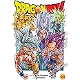 Dragon Ball Super, Vol. 24