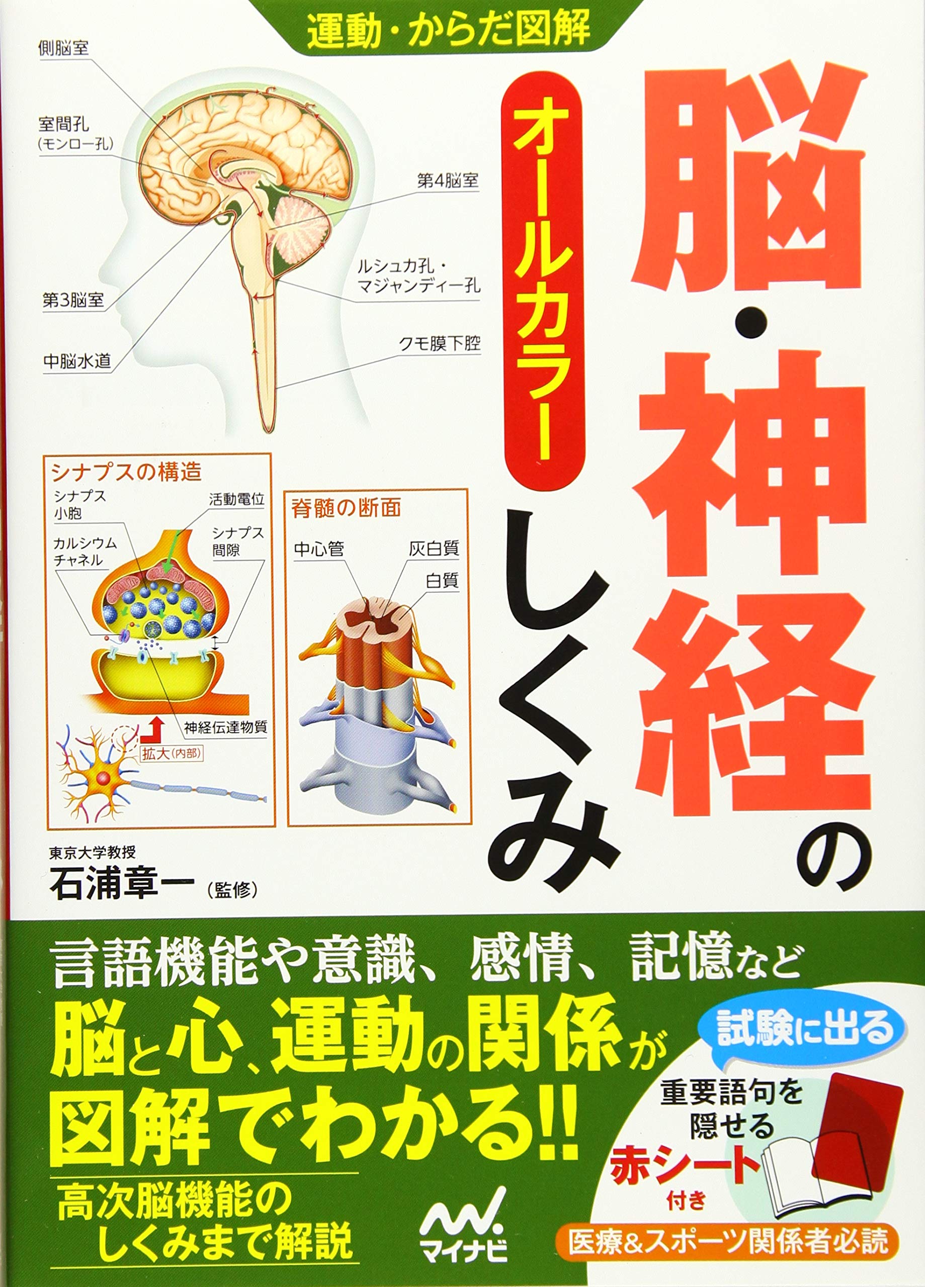 運動 からだ図解 脳 神経のしくみ 石浦 章一 本 通販 Amazon