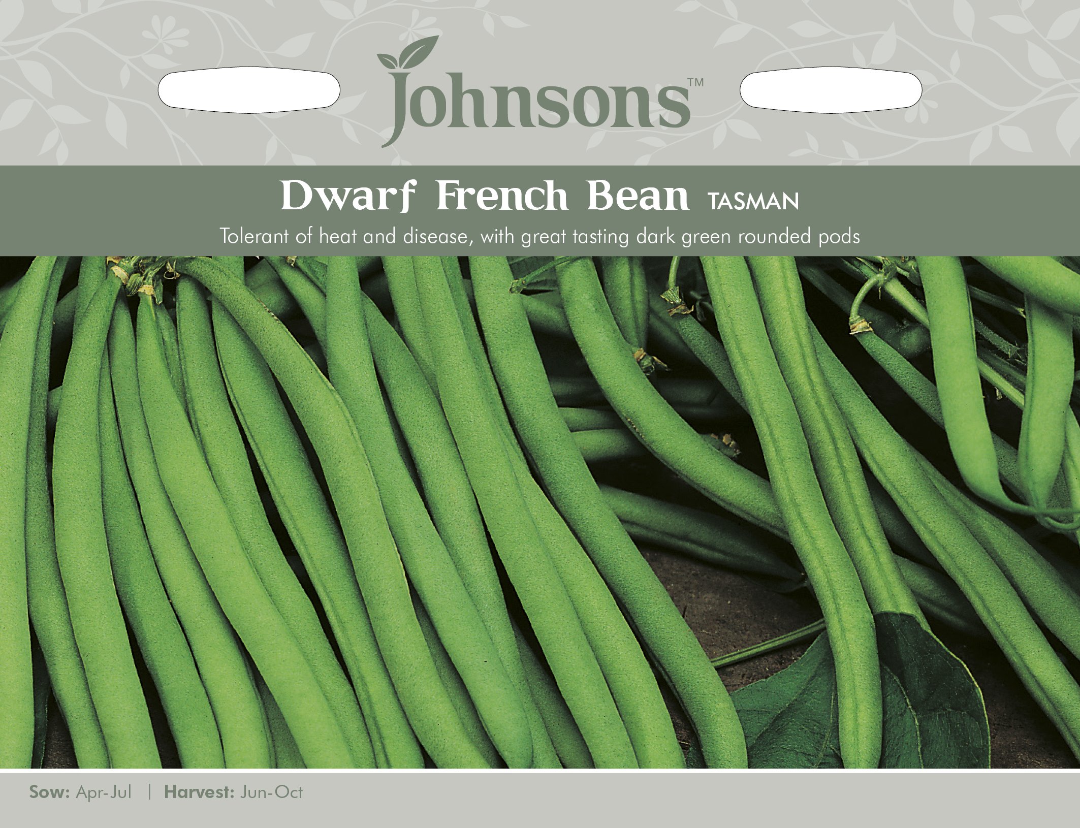 Johnsons 16847 Vegetable Seeds, Dwarf French Bean Tasman