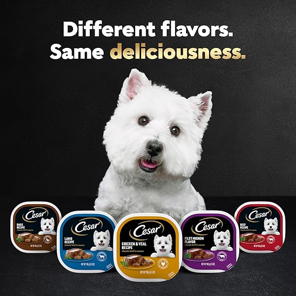 CESAR WET DOG FOOD CLASSIC LOAF IN SAUCE, DUCK RECIPE, OVEN ROASTED CHICKEN FLAVOR, GRILLED CHICKEN FLAVOR, AND TURKEY FLAVOR, 3.5 OZ. EASY PEEL TRAYS, VARIETY PACK, 24 COUNT