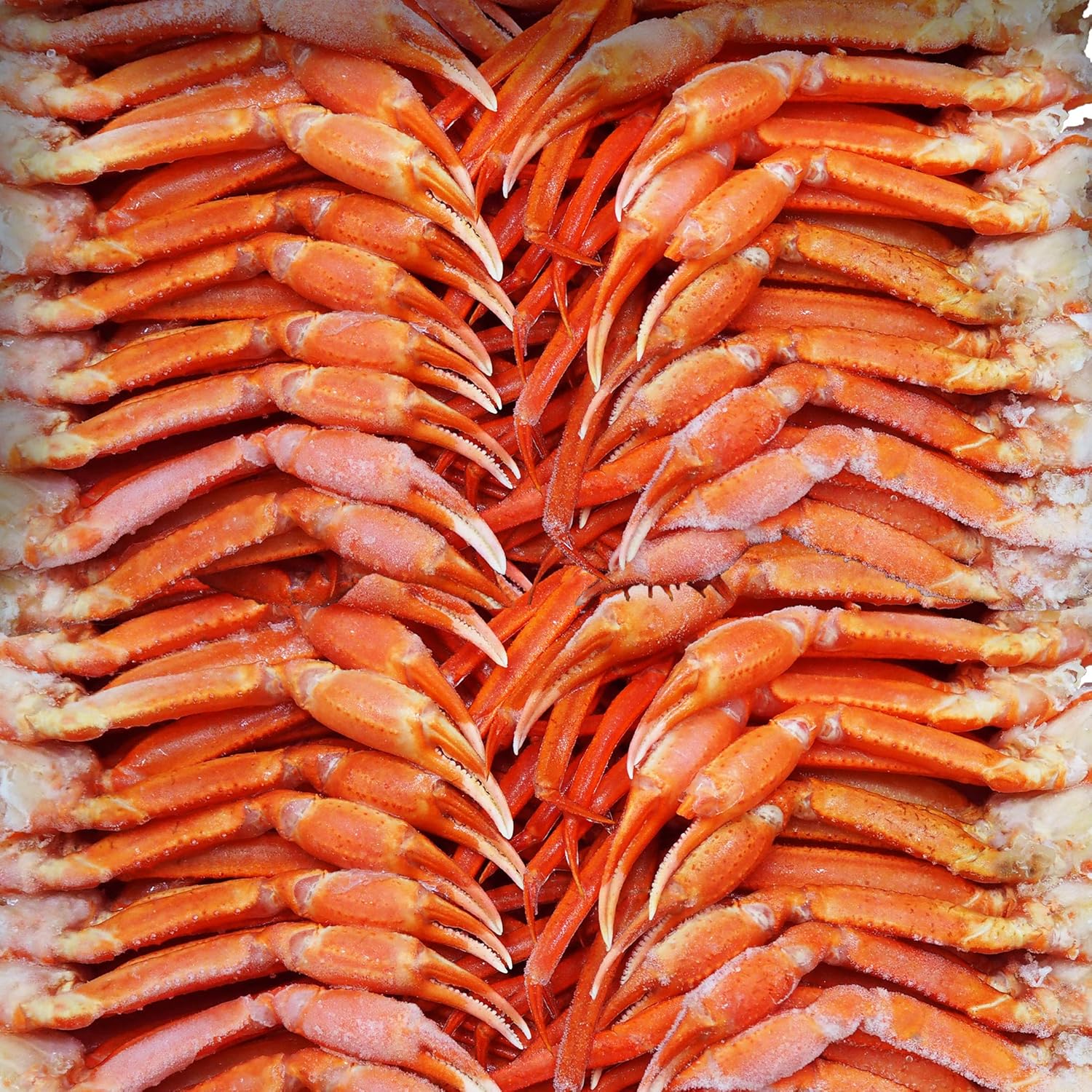 Amazon 21年新物 北海道直送 訳あり 第七十八宝樹丸 松田船長の 国産冷凍紅ズワイガニ セクション 約5kg箱 冷凍品 B品 Mサイズ 31 35肩入り目安 漁師さん応援キャンペーン 5kg 1箱 Rusion カニ 通販