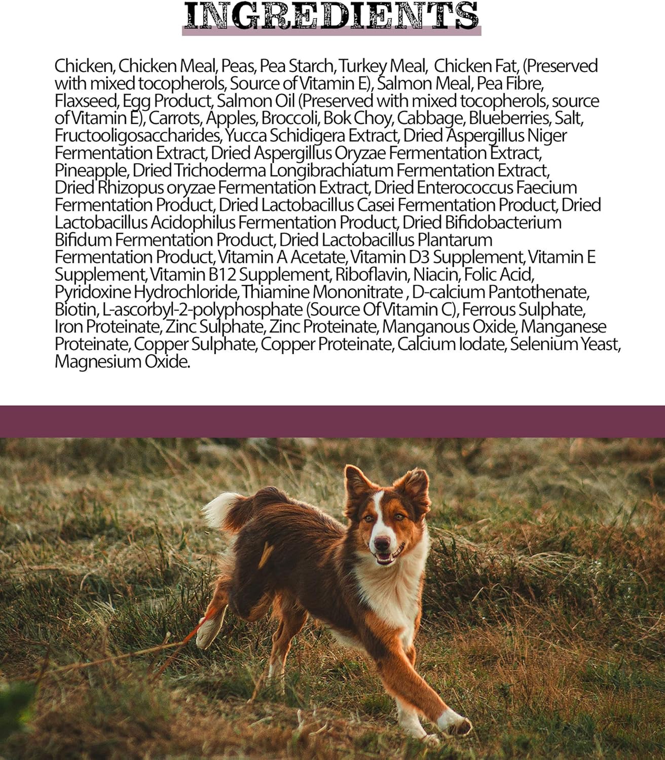 horizon legacy dog food reviews