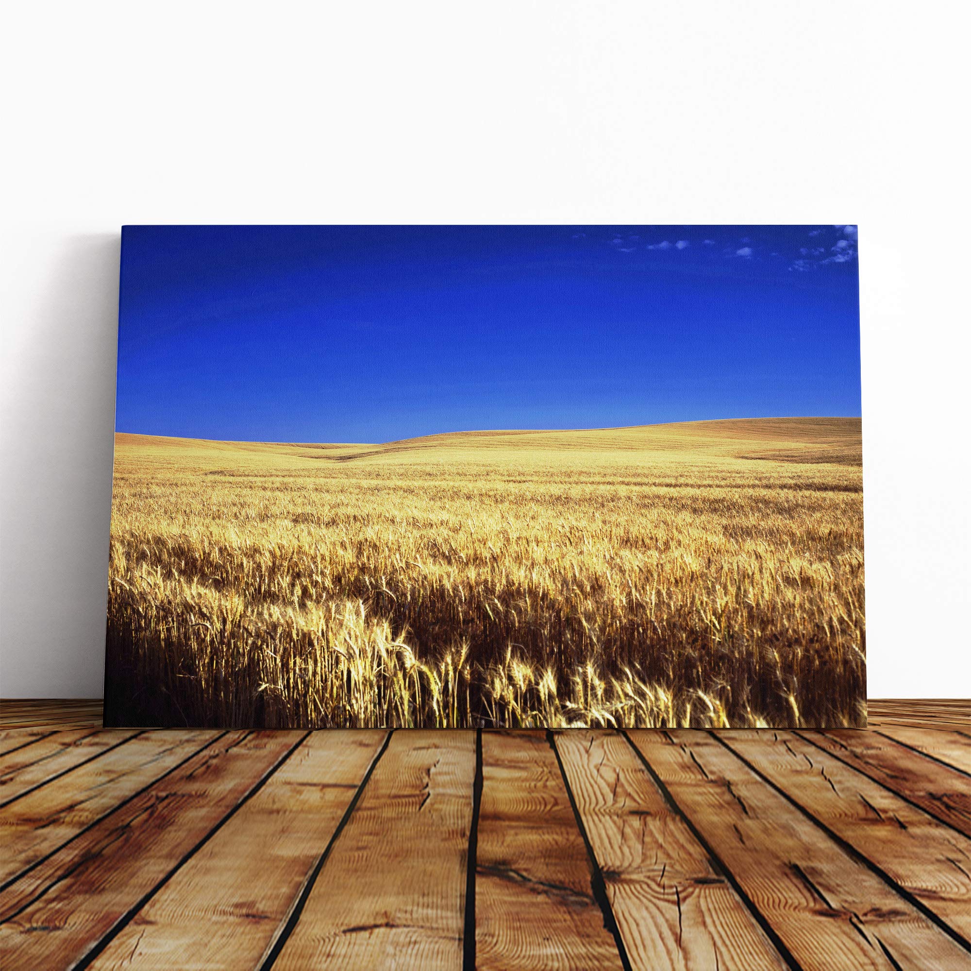 Landscape Kansas Wheat Field USA Canvas Print | Gallery Wrapped 30mm Frame Wall Art | 20x14 inches | Ready to Hang | Modern Landscape Picture | Living Room Bedroom Lounge Office