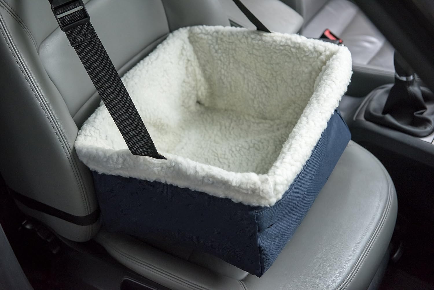 Best car seat for westie