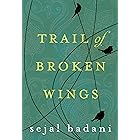 Trail of Broken Wings