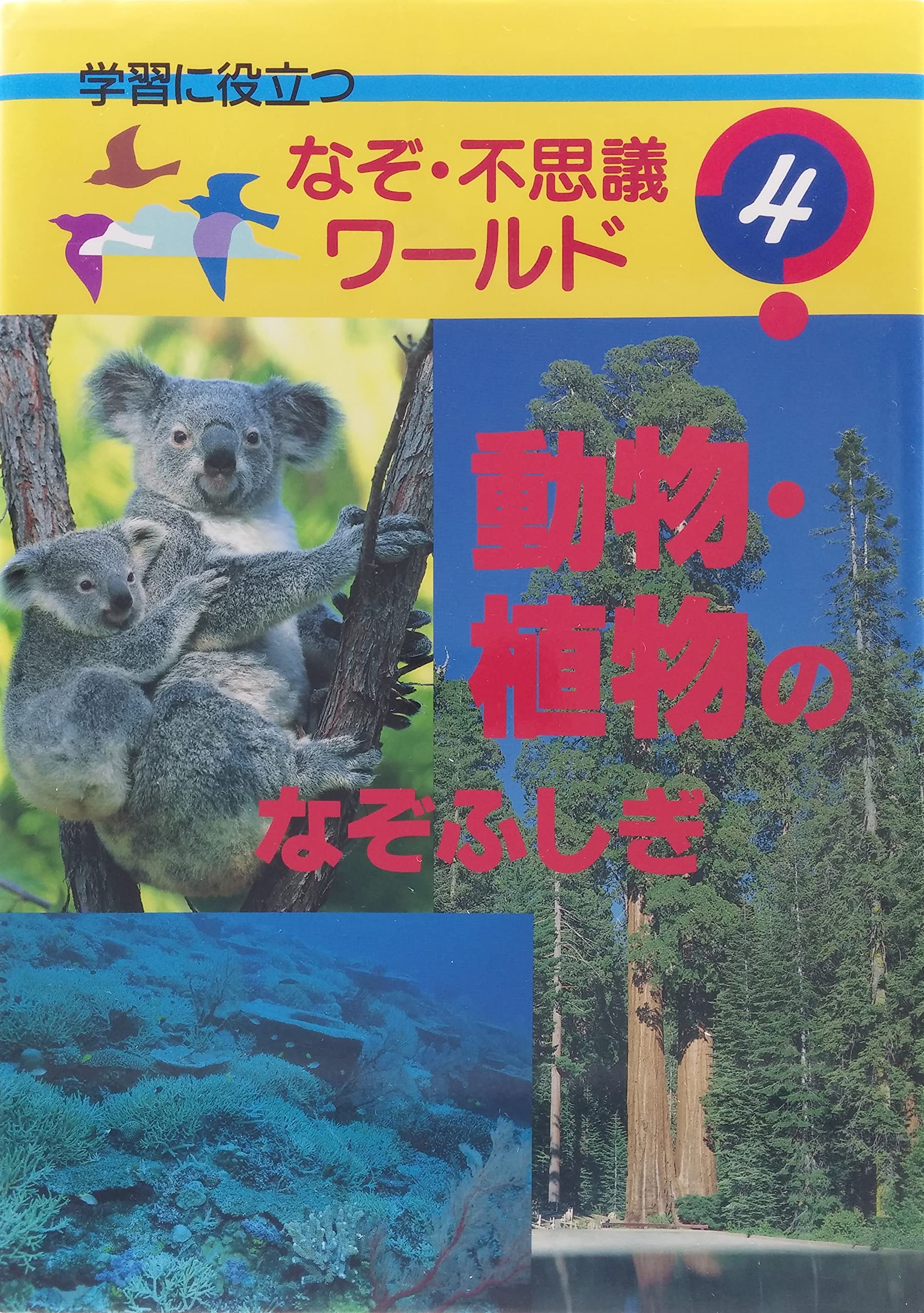 動物 植物のなぞふしぎ 学習に役立つ なぞ 不思議ワールド Amazon Com Books