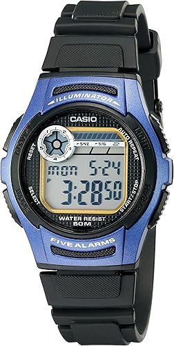 casio w213