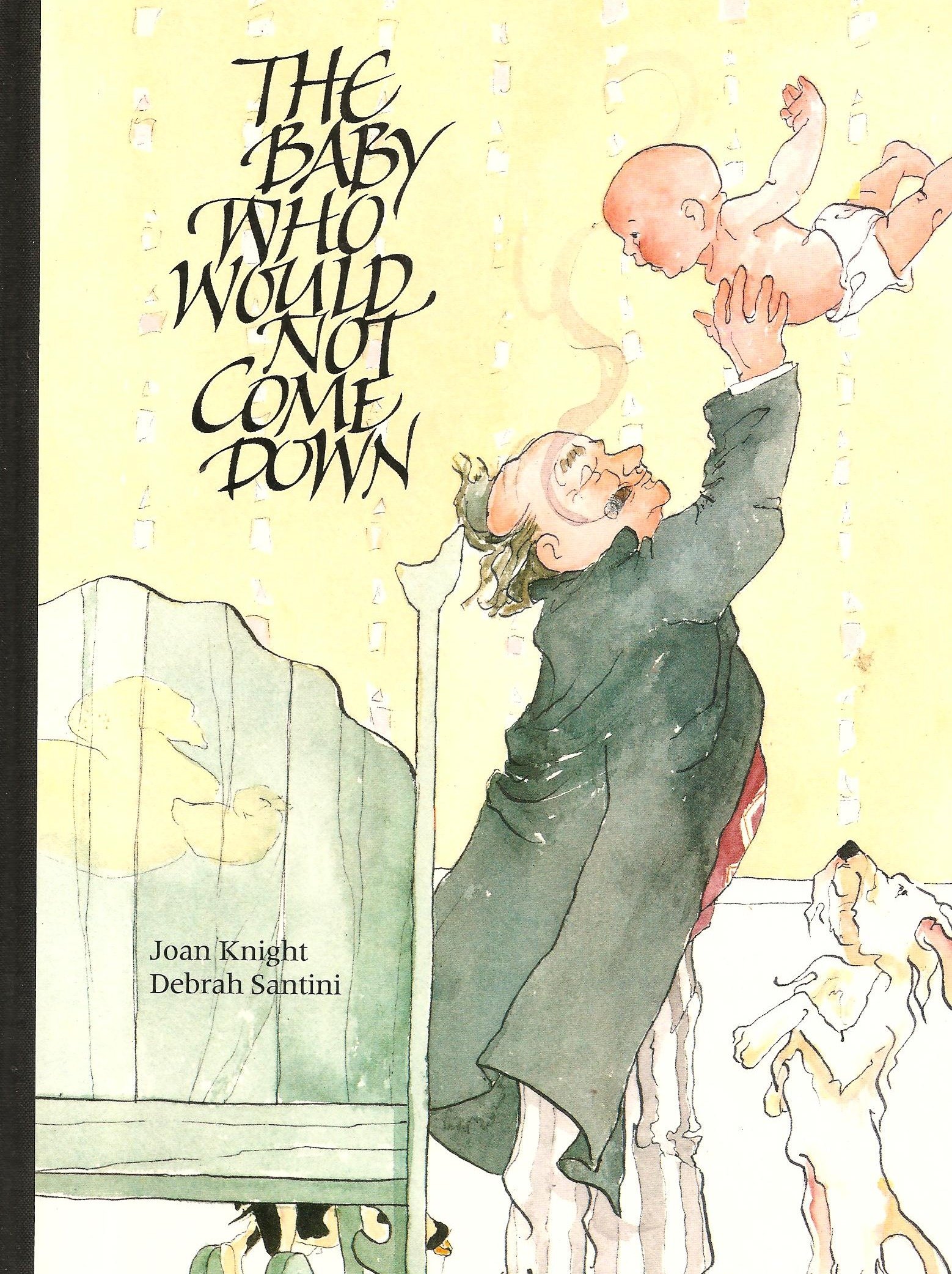 The Baby Who Would Not Come Down Knight Joan Santini Debrah Santini Debrah Amazon Com Books