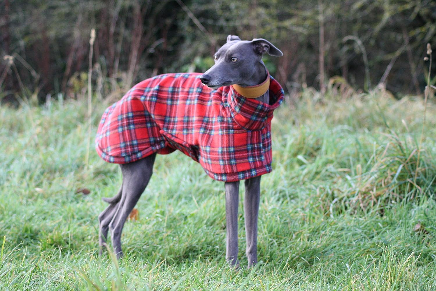 sighthound jumper