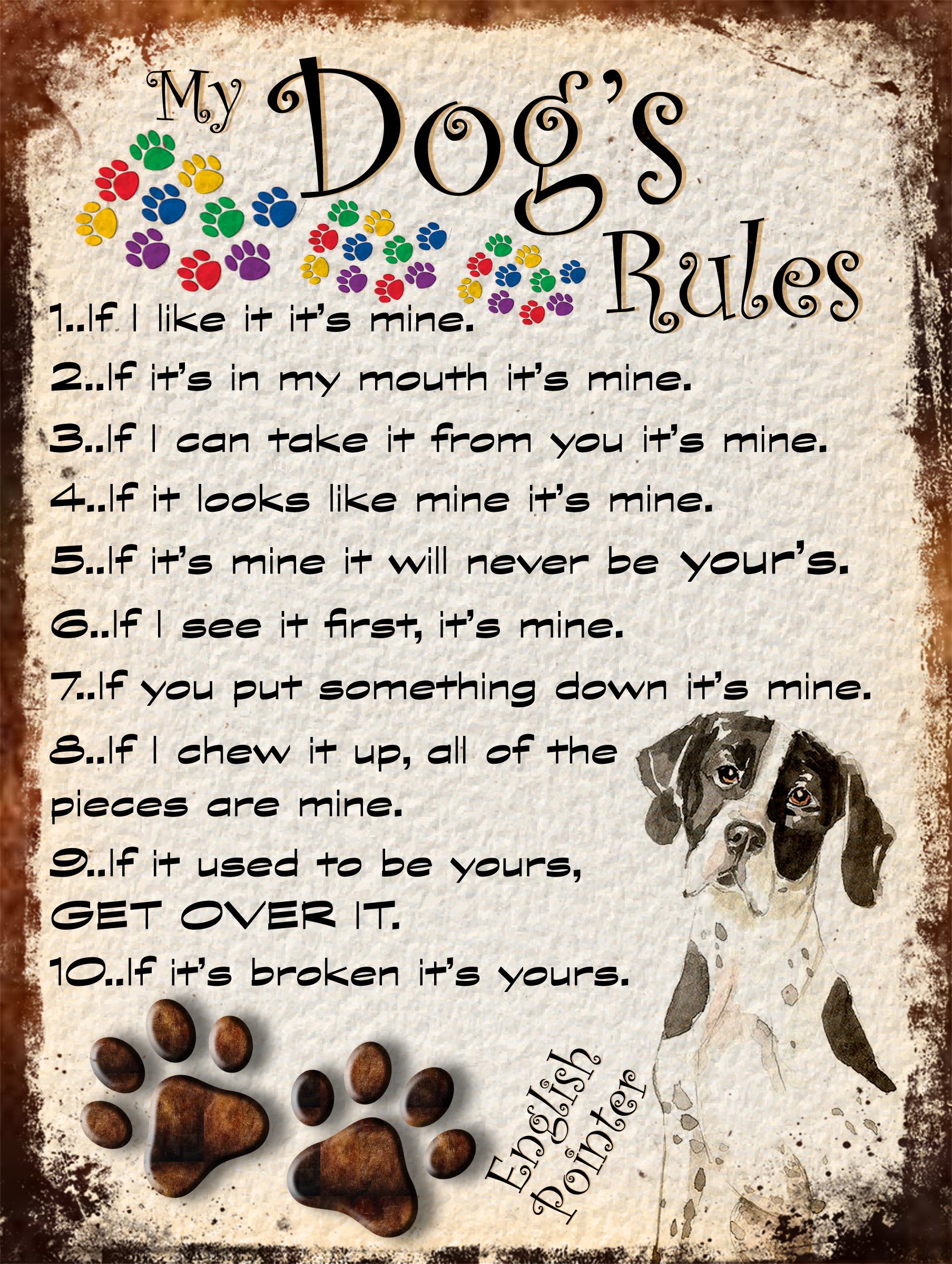 Shawprint Limited MY DOG'S RULES RETRO STYLE METAL TIN ENGLISH POINTER DOG SIGN/PLAQUE THEME 10" X 8" (67DRM)