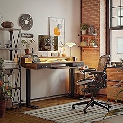 FEZIBO 48 x 24 Inch Height Adjustable Electric