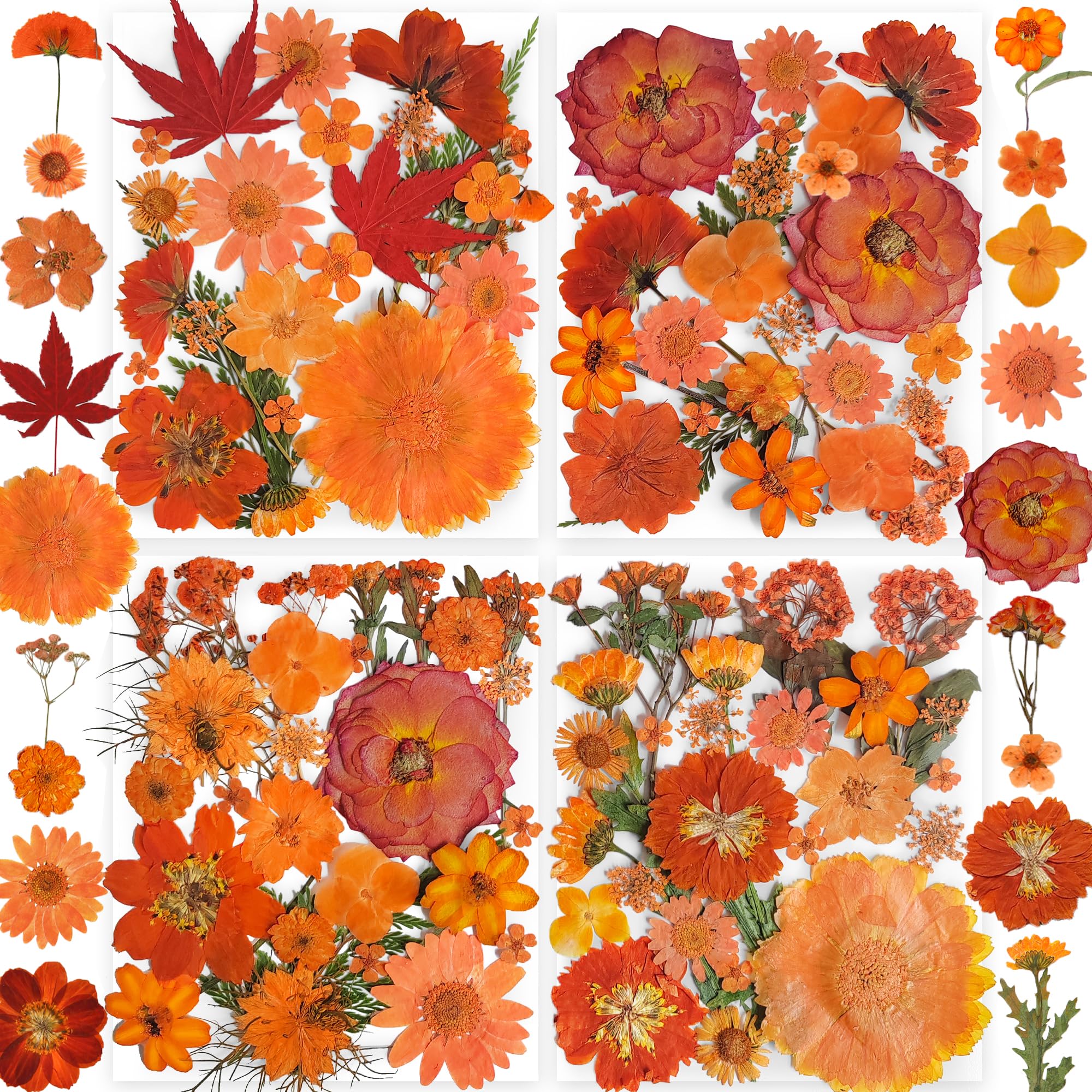 YouthBro 34 Types 144PCS Orange Dried Pressed Flowers with Butterfly Stickers Real Nature Flowers Set for Resin DIY Jewelry Candle Soap Vase Making Nail Card Scrapbook Art Craft Floral Decors