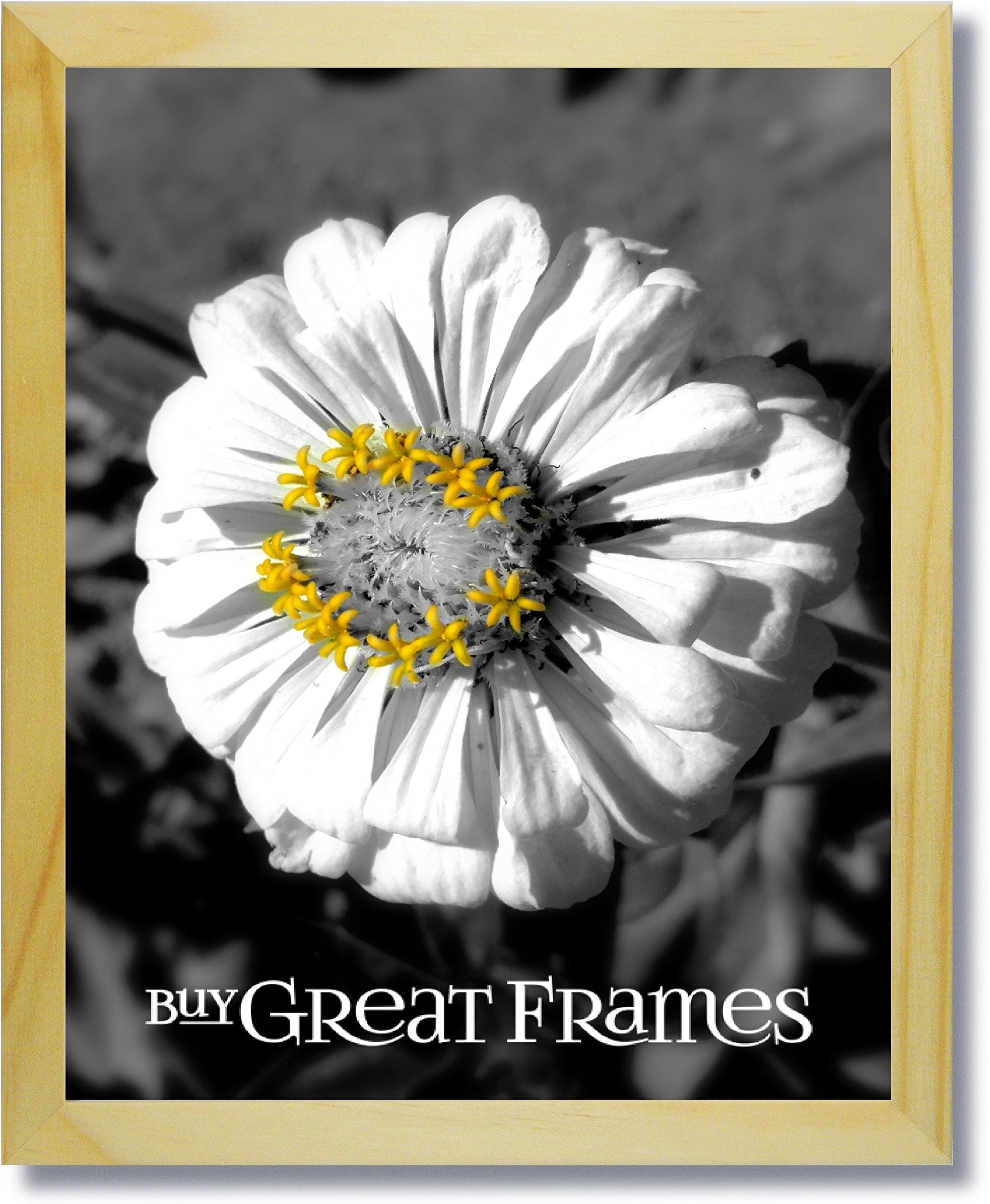 SET of 12 - 5x7 Natural - Light Wood Picture Frames and Clear Glass