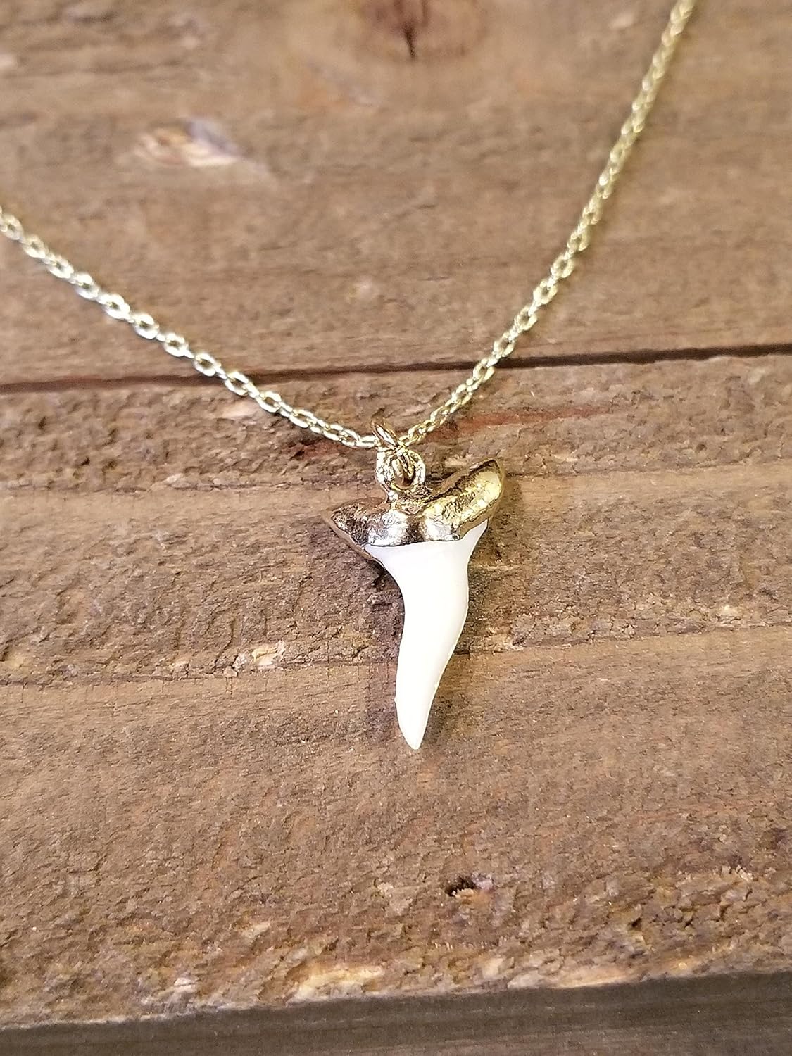 24K Rose Gold Plated Small Shark Tooth On Chain Necklace Beautiful Real Teeth Epic Ocean Sea Collection Fine Handmade Elegant Jewelry (N163)