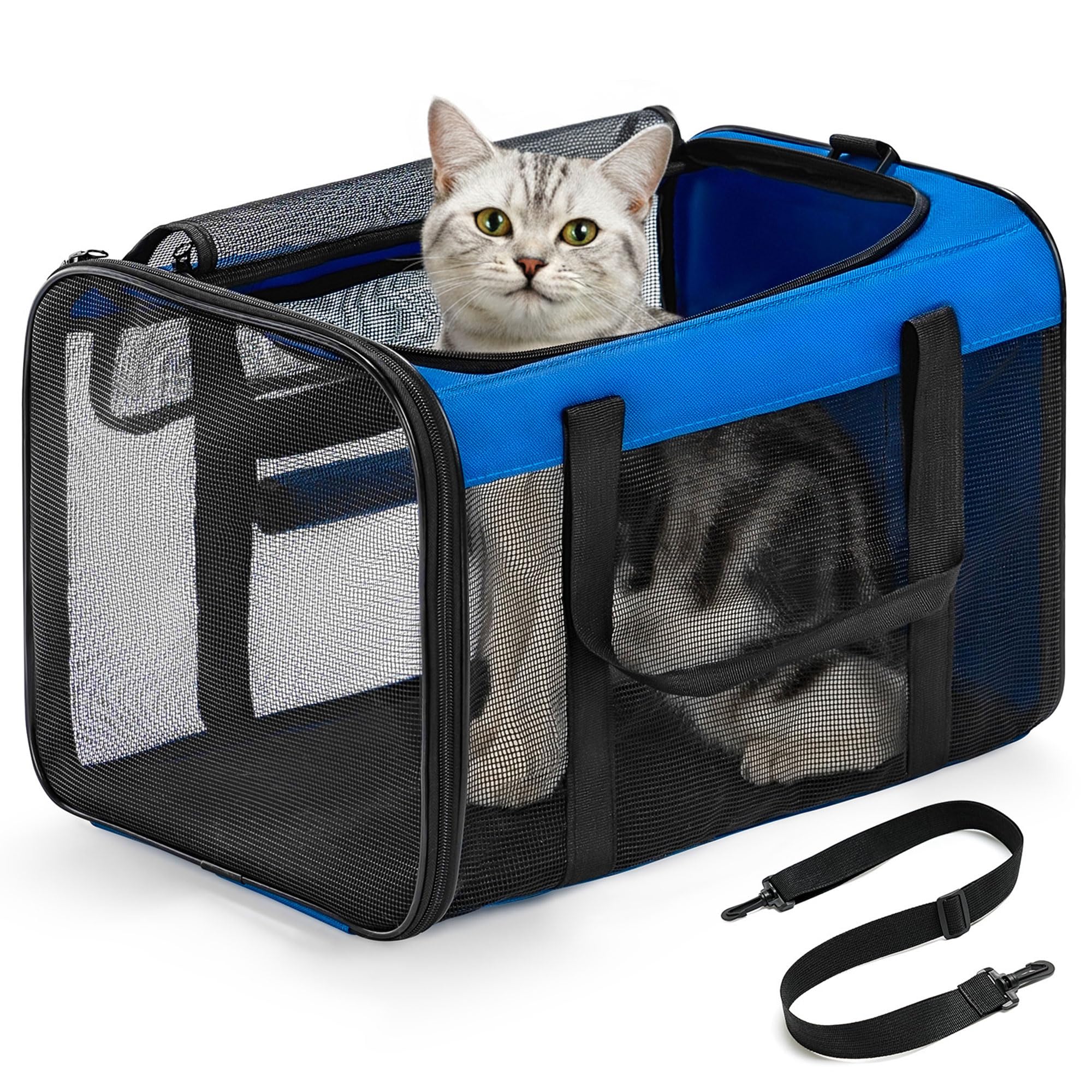 Conlun Cat Carrier Bag,Soft-Sided Pet Carriers for Dogs with 4-Sided Mesh,Airline Approved Cat Transport Carrier for Small&Medium Cats Kitten Puppy Up to 6Kg,Collapsible Cat Travel Carrier-M,Blue