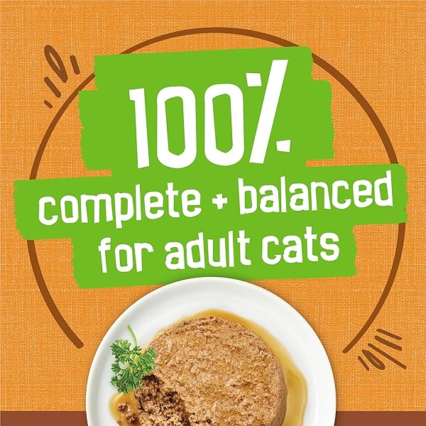 PURINA FRISKIES GRAVY PATE, WET CAT FOOD EXTRA GRAVY PATE WITH CHICKEN IN SAVORY – (PACK OF 24) 5.5 OZ. CANS